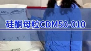 硅酮母粒CDM50-010